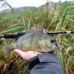 Savage Gear SG2 Lure Rods -Lure Fishing Sales Shop 21a0099.2 1