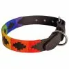 Pioneros Rainbow Dog Collar -Lure Fishing Sales Shop f13a0657.1