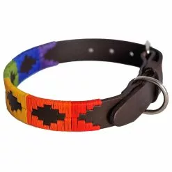 Pioneros Rainbow Dog Collar