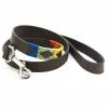 Pioneros Rainbow Dog Lead -Lure Fishing Sales Shop f13a0660.1