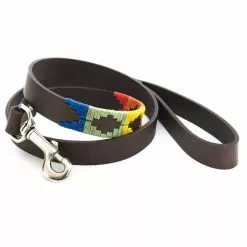 Pioneros Rainbow Dog Lead