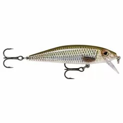 Rapala X-Rap Countdown Lure -Lure Fishing Sales Shop f17a0264roach 1