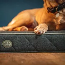 Le Chameau Cushion Dog Bed -Lure Fishing Sales Shop f21a0163.4