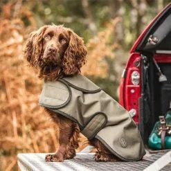 Le Chameau Dog Coat 7 Le Chameau Dog Coat -Lure Fishing Sales Shop f21a0164.2