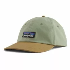 Patagonia P6 Label Traditonal Cap -Lure Fishing Sales Shop f21a0234salviagreen 1