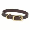 Farlows Bridle Leather Dog Collar