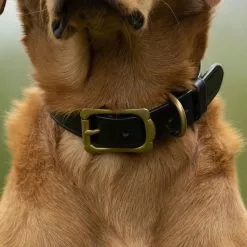 Farlows Bridle Leather Dog Collar -Lure Fishing Sales Shop f21a0288.1 4