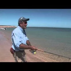 Halco Roosta Popper -Lure Fishing Sales Shop hqdefault 14 22