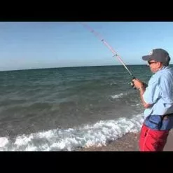 Halco Twisty Chrome Lure -Lure Fishing Sales Shop hqdefault 14 25