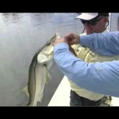 Rapala Sinking Magnum Lure -Lure Fishing Sales Shop hqdefault 9 67